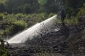 Waldbrand Koeln Hoehenhaus Hoehenfelder Mauspfad P110